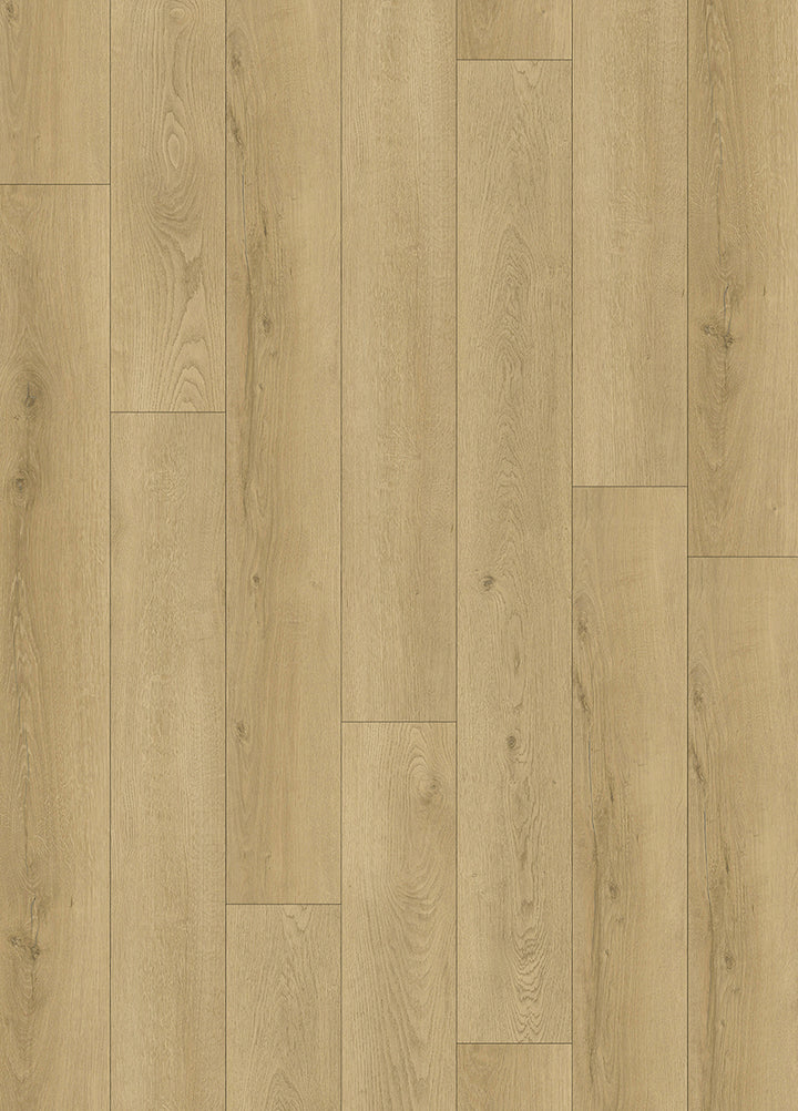 Softstep SYNQ Grand Cru Vinylgolv - KakelExpress