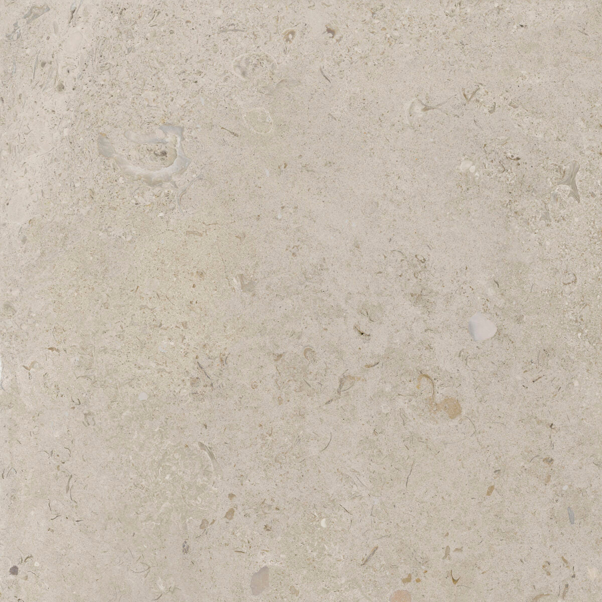 Kalksten Klinker Beige Matt Rect. 60x60 CM Klinker - KakelExpress