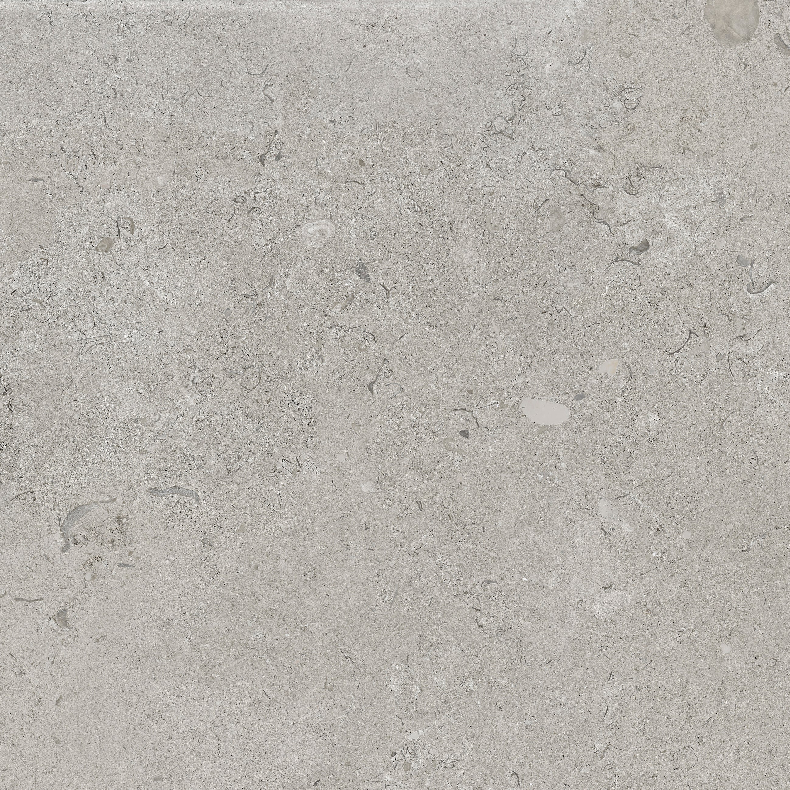 Kalksten Klinker Grå Matt Rect. 60x60 CM Klinker - Trendi Kakel - KakelExpress