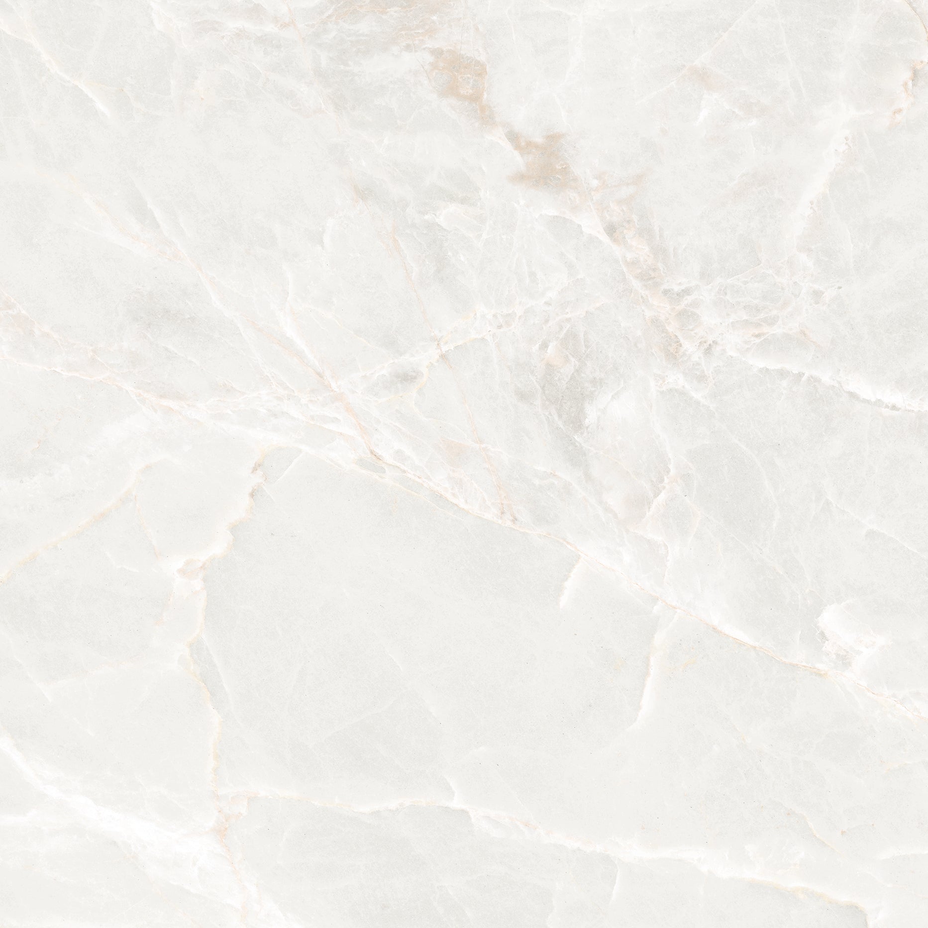 Royal Marbles White Matt Rect. 60x60 CM Klinker - Trendi Kakel - KakelExpress