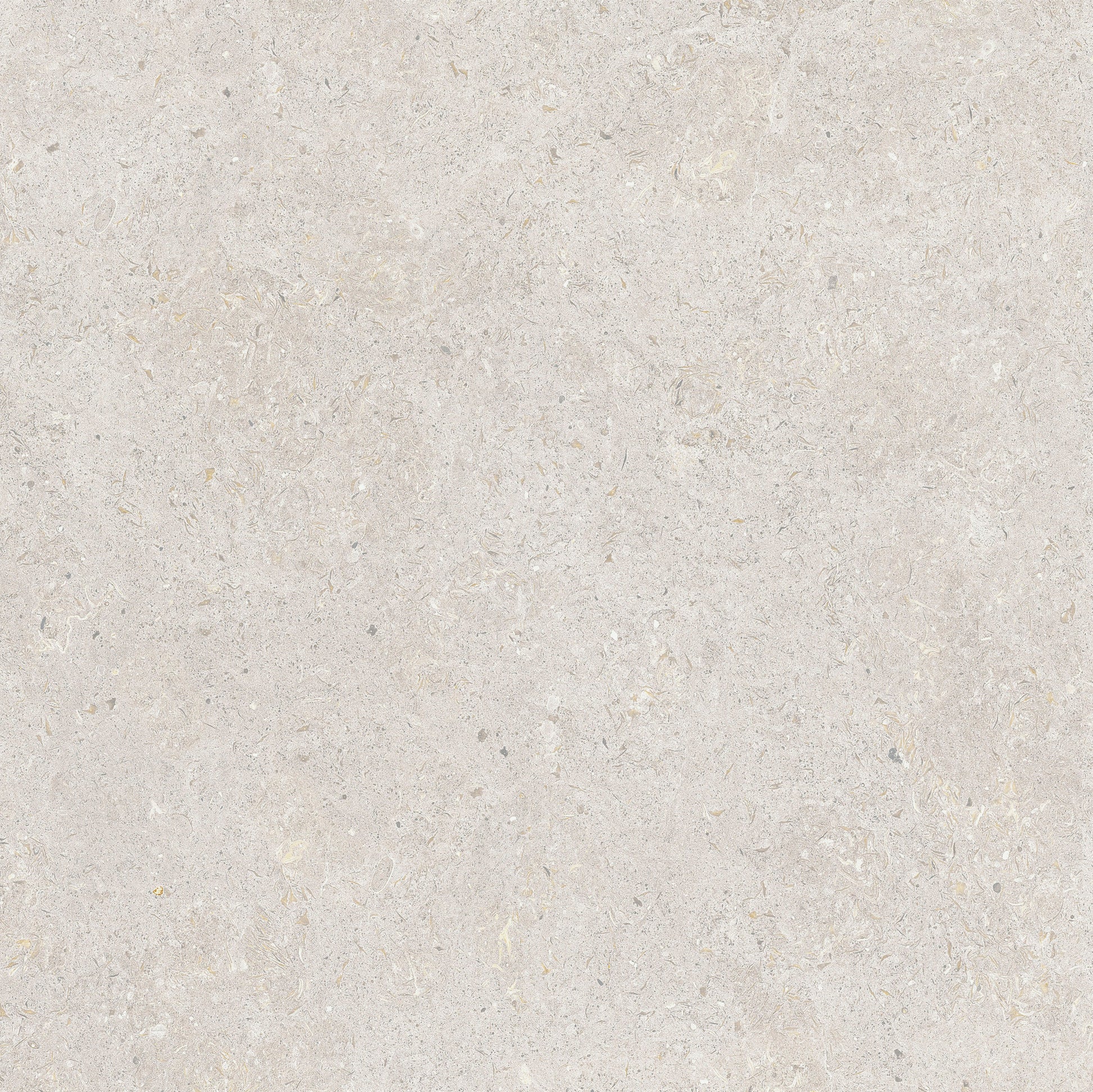 Gotland Kalk Ljusgrå Matt Rect. 60x60 CM Klinker - Trendi Kakel - KakelExpress